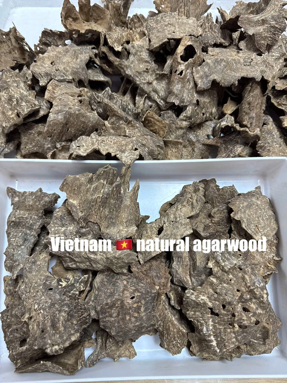 Premium Char Oud – Cultivated Agarwood Chips (High Oil Content for Incense &amp; Meditation)